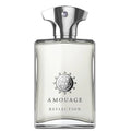 AMOUAGE REFLECTION MAN EDP 100ML